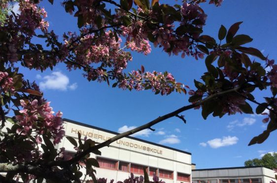 Blomstring